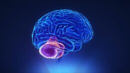 İnsan beyni tam bir mucize! Beyin hakkında bilmediğiniz 20 gerçek