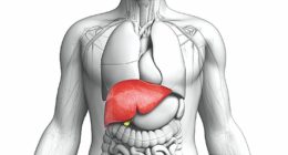 Karaciğer Temizliği: Gerçekler ve Efsaneler